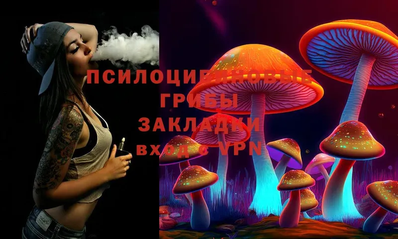 Галлюциногенные грибы MAGIC MUSHROOMS  наркота  Енисейск 